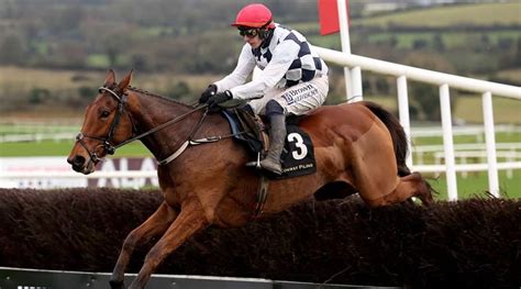 brown advisory plate|Brown Advisory Novices' Chase .